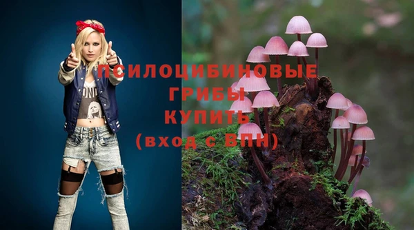 ECSTASY Баксан